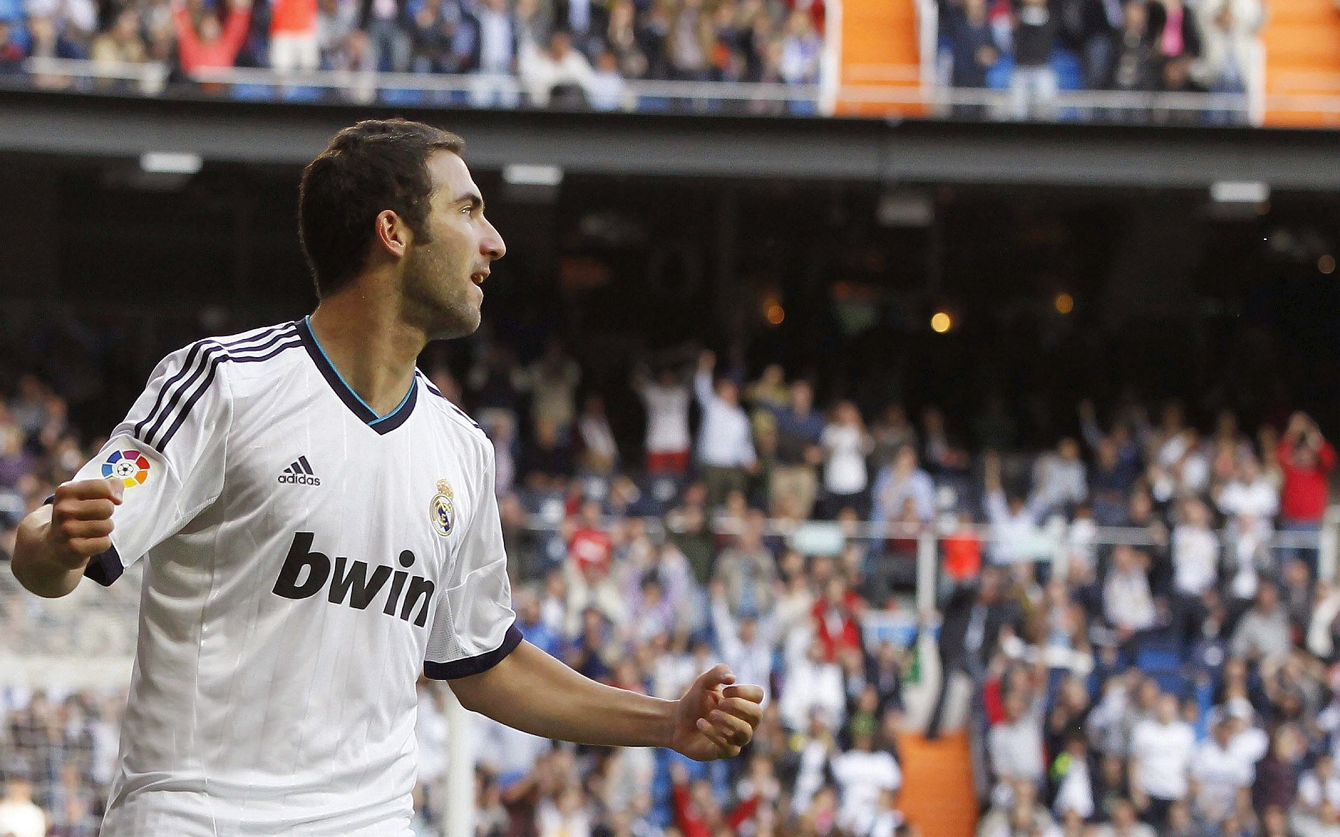 jiuyou-WRC观众指南：最佳观赛点与现场活动，wrc观看